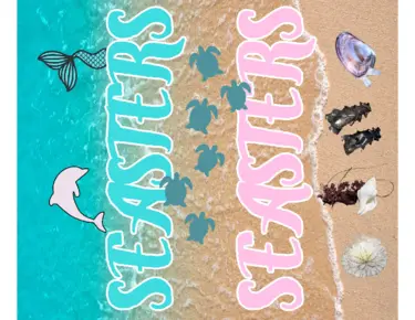 Seasters San Diego T-Shirts Sweatshirts hoodies